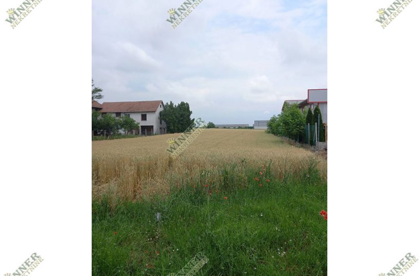 Prodaja Plac Njiva Surcin Dobanovci, struja i voda na placu, gasovod, agencija, promet, nekretnine, winner Zemun