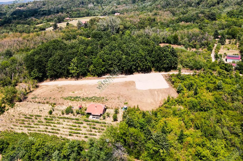 Prodaja Plac Svilajnac Bacica, 30ari, na brdu sa fatasticnim pogledom, ruza vetrova, ociscen plac, put do placa, agencija winner nekretnine, uknjizeno,