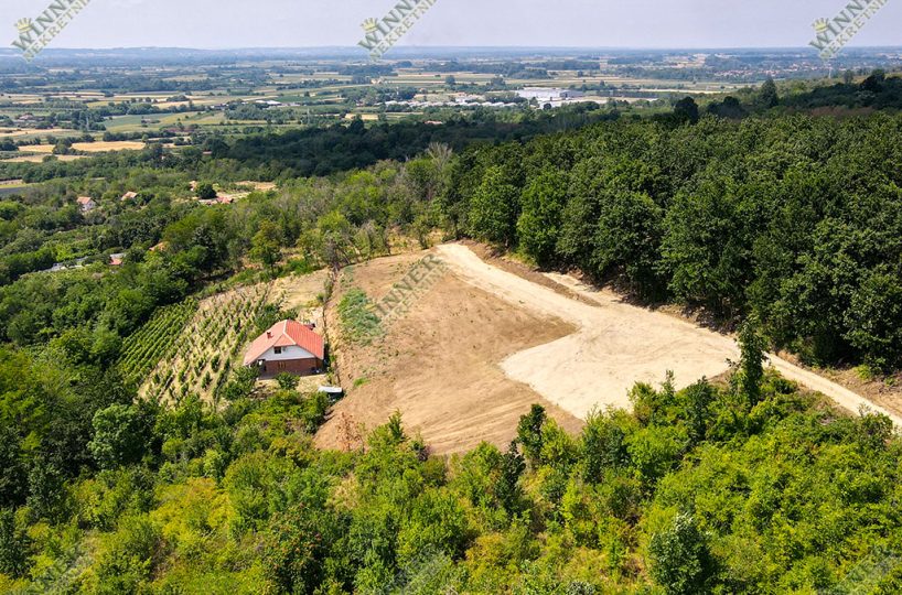 Prodaja Plac Svilajnac Bacica, 30ari, na brdu sa fatasticnim pogledom, ruza vetrova, ociscen plac, put do placa, agencija winner nekretnine, uknjizeno,