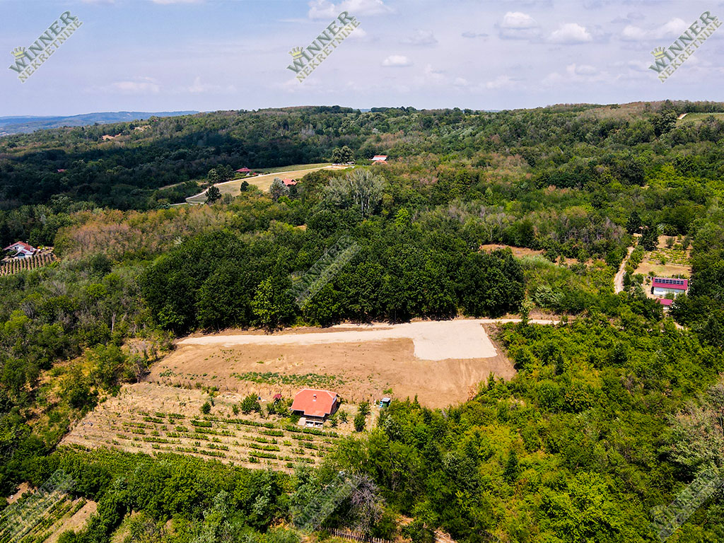 Prodaja Plac Svilajnac Bacica, 30ari, na brdu sa fatasticnim pogledom, ruza vetrova, ociscen plac, put do placa, agencija winner nekretnine, uknjizeno,