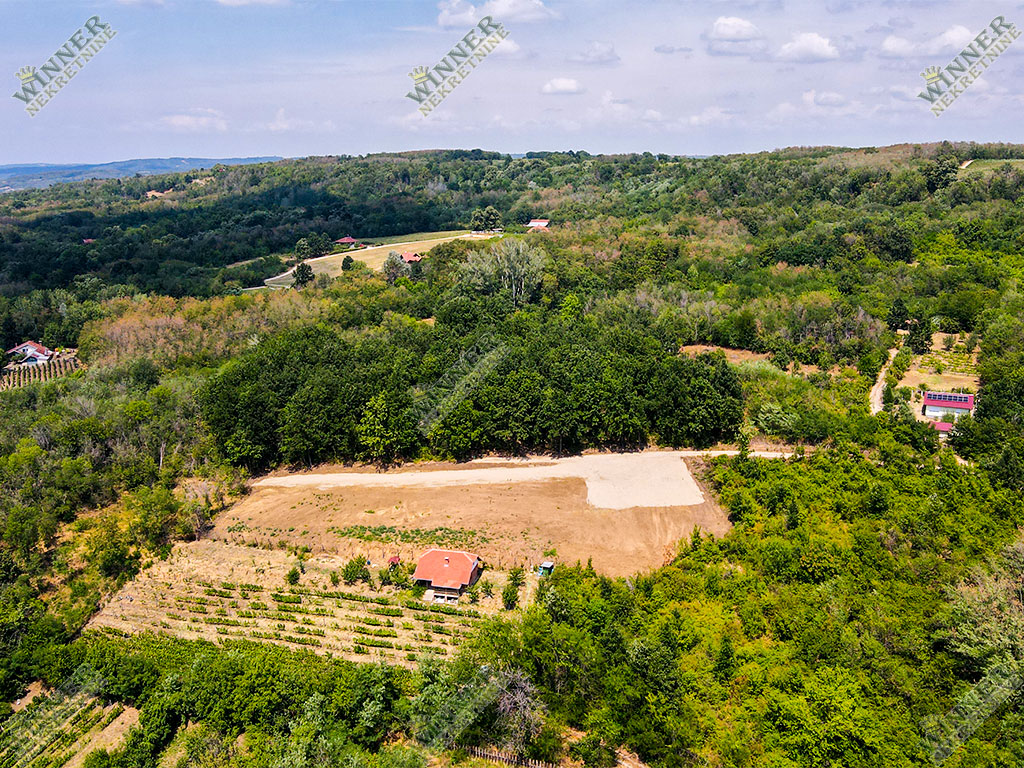 Prodaja Plac Svilajnac Bacica, 30ari, na brdu sa fatasticnim pogledom, ruza vetrova, ociscen plac, put do placa, agencija winner nekretnine, uknjizeno,