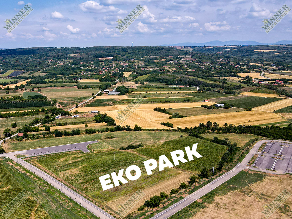 Prodaja Plac Svilajnac Bacica, 30ari, na brdu sa fatasticnim pogledom, ruza vetrova, ociscen plac, put do placa, agencija winner nekretnine, uknjizeno,