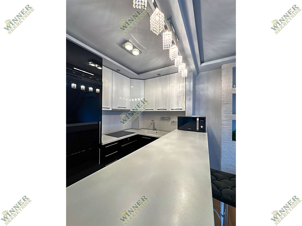 Izdavanje Stan Zeleznicka duplex, Zemun, naselje Save Kovacevic, novogradnja, agencija winner nekretnine,