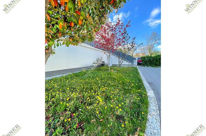 stan-u-zemunu-silerova-prodaja