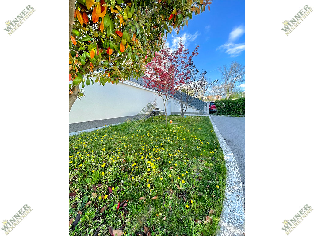 stan-u-zemunu-silerova-prodaja